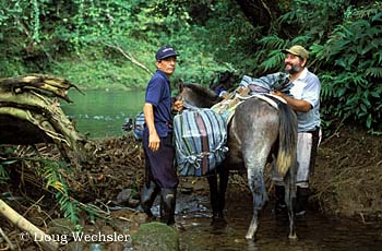 Park Guards load horse e446-73.jpg - 69187 Bytes